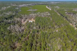 12321 Hwy 185, Saint George, GA 31562 - Photo 19