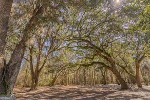 12321 Hwy 185, Saint George, GA 31562 - Photo 71