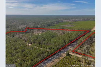 12321 Highway 185, Saint George, GA 31562 - Photo 5