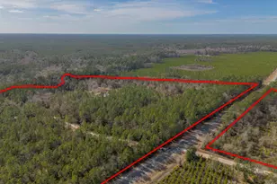 12321 Hwy 185, Saint George, GA 31562 - Photo 5