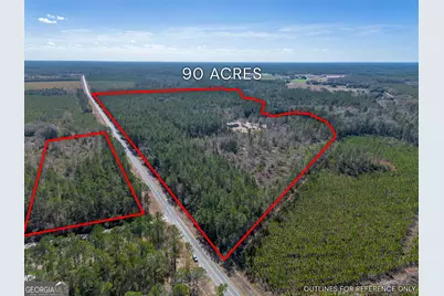 12321 Highway 185, Saint George, GA 31562 - Photo 3