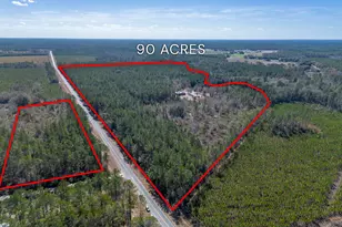 12321 Hwy 185, Saint George, GA 31562 - Photo 3