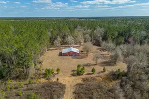 12321 Hwy 185, Saint George, GA 31562 - Photo 9