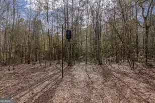 12321 Hwy 185, Saint George, GA 31562 - Photo 21