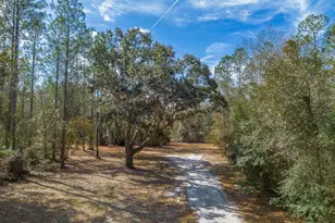 12321 Hwy 185, Saint George, GA 31562 - Photo 51