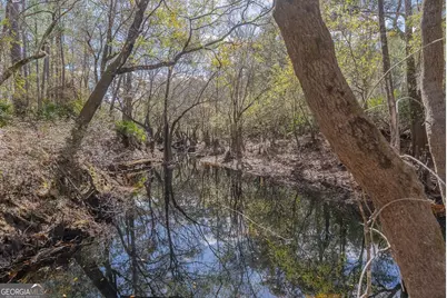 12321 Highway 185, Saint George, GA 31562 - Photo 73