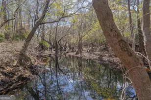 12321 Hwy 185, Saint George, GA 31562 - Photo 73