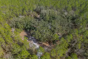 12321 Hwy 185, Saint George, GA 31562 - Photo 49