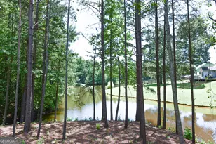12 St Charles Pl, Grantville, GA 30220 - Photo 3