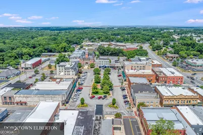 0 Williams Lane, Elberton, GA 30635 - Photo 3