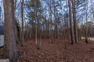 445 Merrydale Dr, Fayetteville, GA 30215 - Photo 51