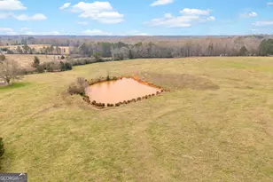 7743 Mt Olivet Rd, Hartwell, GA 30643 - Photo 23