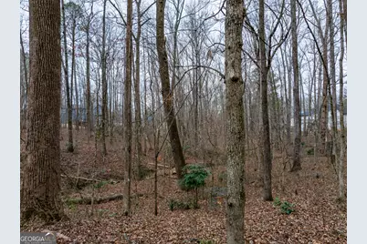 8.5 Acres Rockbridge Road S, Stone Mountain, GA 30087 - Photo 11