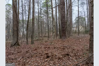 8.5 Acres Rockbridge Road S, Stone Mountain, GA 30087 - Photo 5