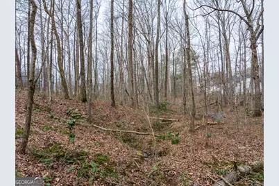 8.5 Acres Rockbridge Road S, Stone Mountain, GA 30087 - Photo 3