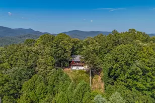 832 Scenic Mountain View Rd, Blue Ridge, GA 30513 - Photo 51