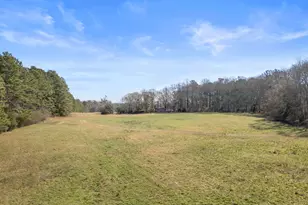 1049 Hwy 36 E, Jackson, GA 30233 - Photo 41