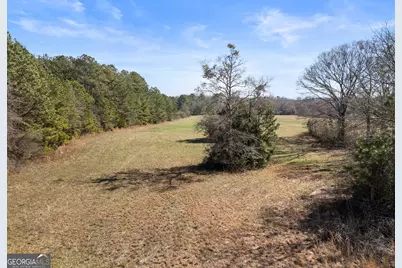 1049 Highway 36 E, Jackson, GA 30233 - Photo 41