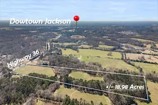 1049 Hwy 36 E, Jackson, GA 30233 - Photo 51