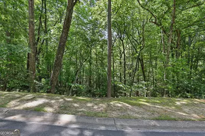 0 Plum Lane #LT 53, Clarkesville, GA 30523 - Photo 3