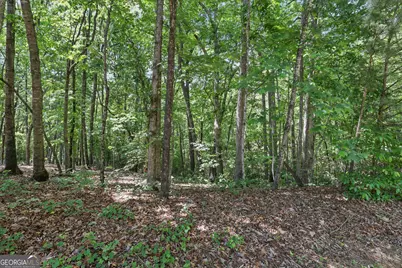 0 Plum Lane #LT 53, Clarkesville, GA 30523 - Photo 5