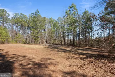 568 Martin Mill Road, Moreland, GA 30259 - Photo 63