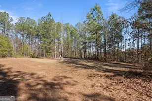 568 Martin Mill Rd, Moreland, GA 30259 - Photo 63