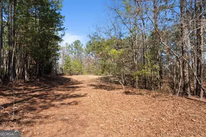 568 Martin Mill Road, Moreland, GA 30259 - Photo 63