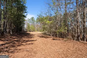 568 Martin Mill Rd, Moreland, GA 30259 - Photo 63