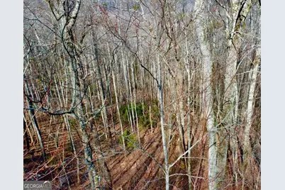 120 Croft Mountain Road, Blairsville, GA 30512 - Photo 3