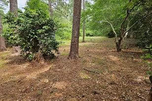 29 Jef Rd, Statesboro, GA 30458 - Photo 3