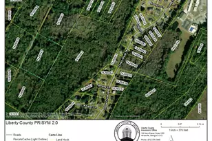 0 Oglethorpe East Hwy, Midway, GA 31320 - Photo 1