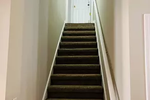 50 Rock Mill Ct, Senoia, GA 30276 - Photo 49