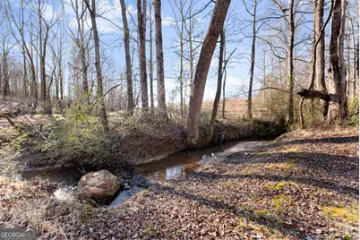 322 Ash Wood Lane, Cleveland, GA 30528 - Photo 39