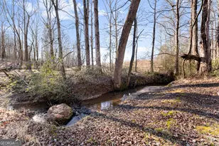 322 Ash Wood Ln, Cleveland, GA 30528 - Photo 39