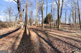 322 Ash Wood Ln, Cleveland, GA 30528 - Photo 41