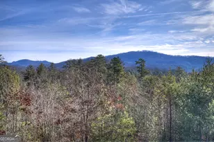 1038 Synacia Dr, Mineral Bluff, GA 30559 - Photo 55