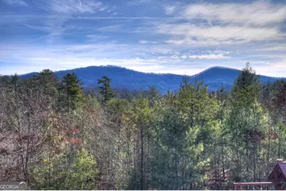 1038 Synacia Drive, Mineral Bluff, GA 30559 - Photo 3