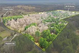 0 Peppers Rd, Bishop, GA 30621 - Photo 1