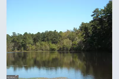 Tract 4 Rivers Road, Fayetteville, GA 30214 - Photo 1