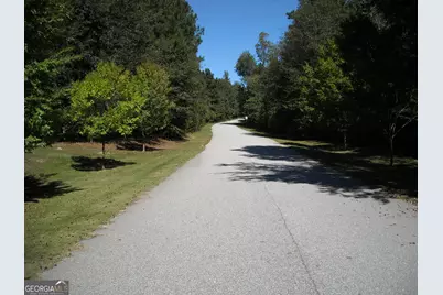 Tract 4 Rivers Road, Fayetteville, GA 30214 - Photo 3