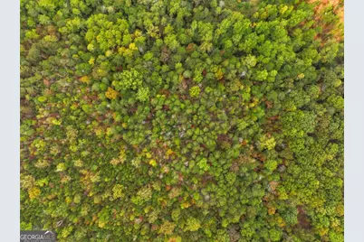 6380 Dawsonville Highway, Dahlonega, GA 30533 - Photo 5