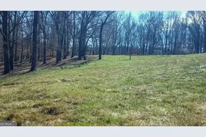 0 Hwy 51 N, Homer, GA 30547 - Photo 5