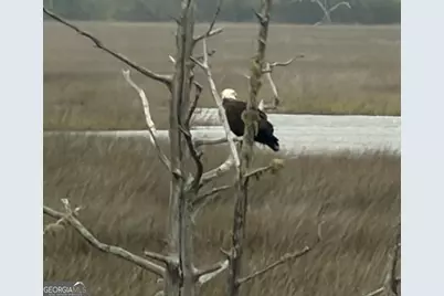 245 Jake Colton Drive, Kingsland, GA 31548 - Photo 37