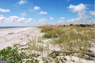 1871 East Perimeter Road SE, Sapelo Island, GA 31327 - Photo 21