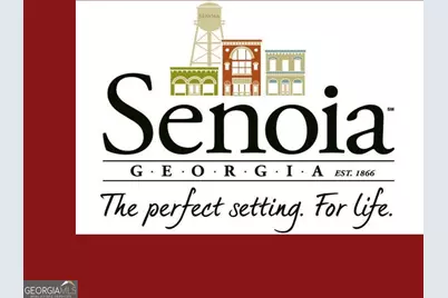 25 Malone Court, Senoia, GA 30276 - Photo 101