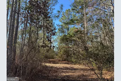0 Robin Lane, Nahunta, GA 31553 - Photo 3