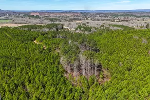 0 Hwy 100, Summerville, GA 30747 - Photo 1