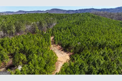 0 Highway 100, Summerville, GA 30747 - Photo 11