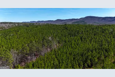 0 Highway 100, Summerville, GA 30747 - Photo 9